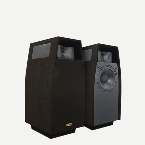 Amt speaker online